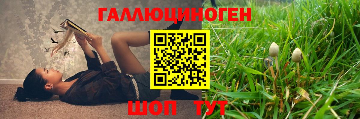 Нижнекамск  Псилоцибиновые грибы мицелий  Вход с VPN  Псилоцибиновые грибы мухоморы 