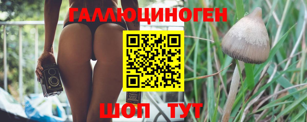 Псилоцибиновые грибы MAGIC MUSHROOMS Нижнекамск